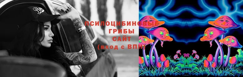 Псилоцибиновые грибы Psilocybine cubensis  Данилов 